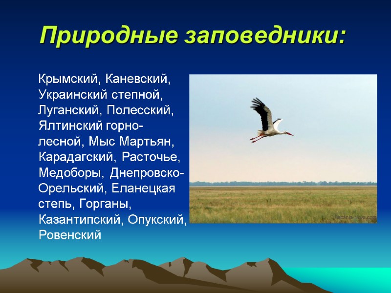 Природные заповедники:       Крымский, Каневский, Украинский степной, Луганский, Полесский,